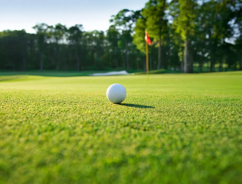 Close-up of a golf ball on a particularly green fairway during a golf vacation at the Arkona Strandresidenzen on Rügen.
