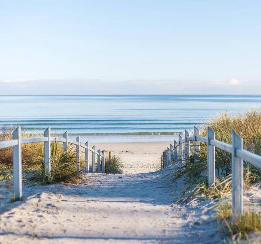 A long, sandy footpath surrounded by nature to the Baltic Sea beach on Rügen.