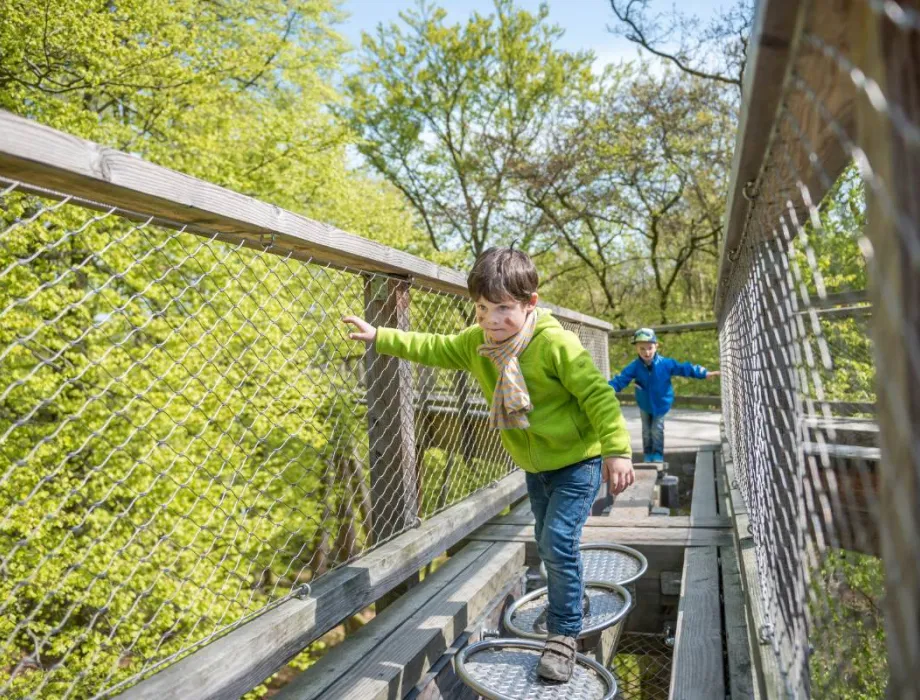Familienausflüge auf Rügen – Entdecken, was Kinderherzen höherschlagen lässt