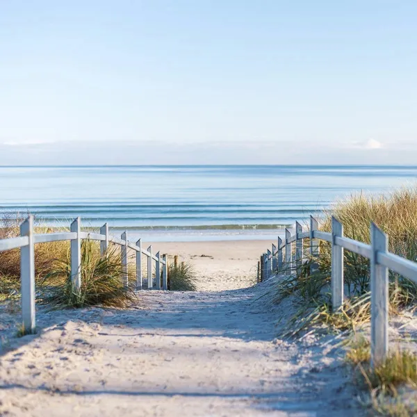 A long, sandy footpath surrounded by nature to the Baltic Sea beach on Rügen.