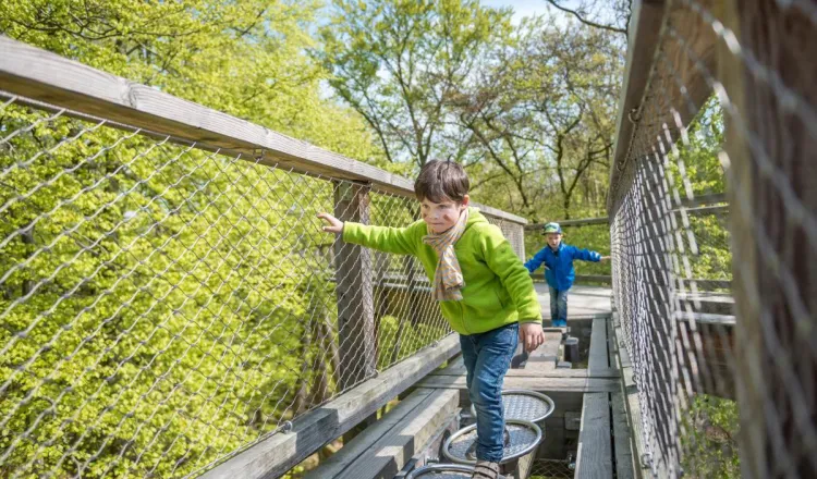 Family Adventures on Rügen – Discover What Makes Kids' Hearts Beat Faster