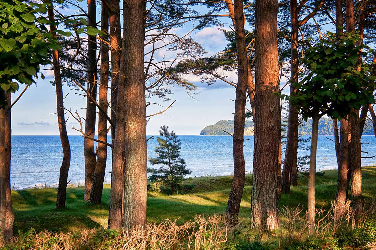 Forest path with view of the Rügen coast – Arkona Strandresidenzen promote low-paper guest communication